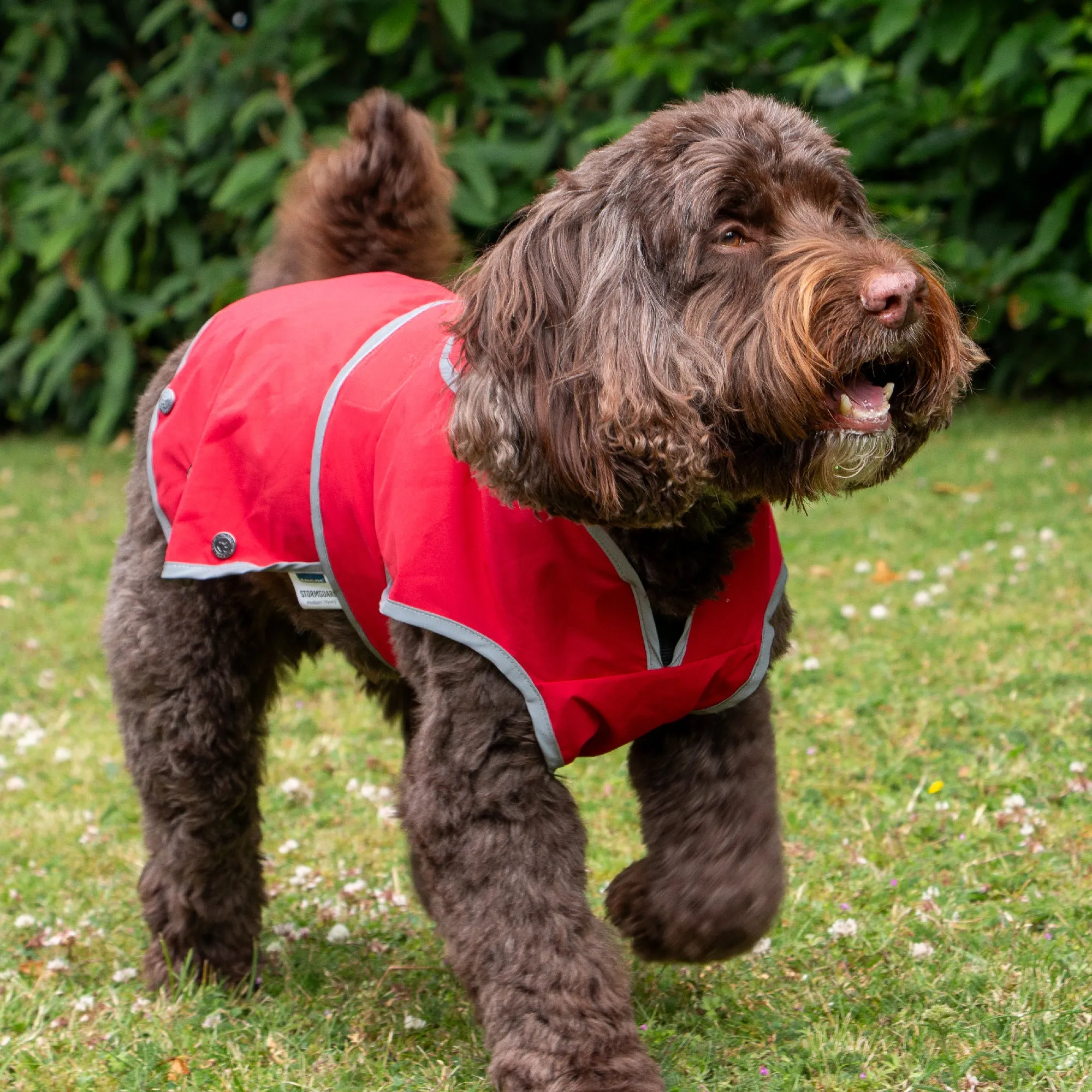 Ancol Dog Puppy Coats Stormguard Soft Shell Bordeaux 7 Sizes