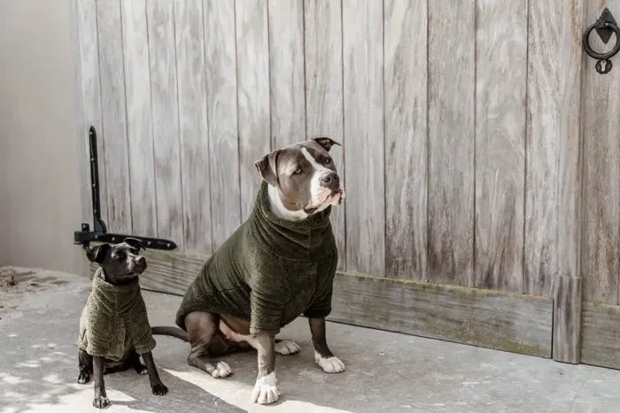 Kentucky Dog Sweater Teddy Fleece Pine Green