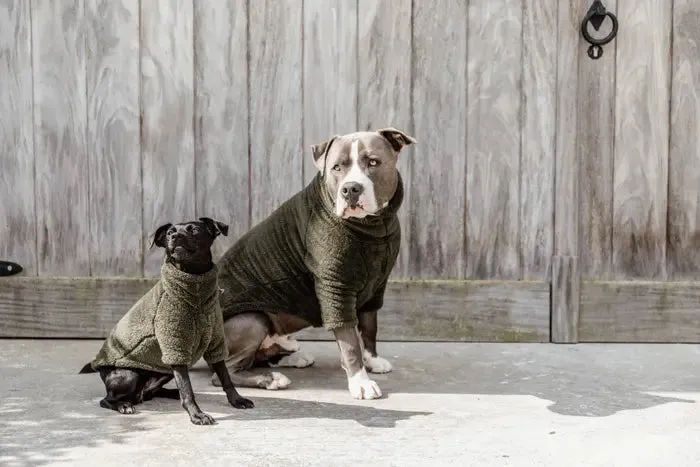 Kentucky Dog Sweater Teddy Fleece Pine Green