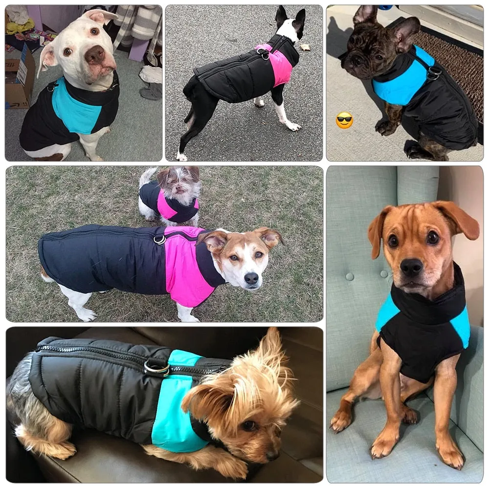 PETRAVEL Waterproof Dog Coats With Harness Hole