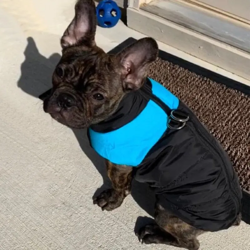 PETRAVEL Waterproof Dog Coats With Harness Hole